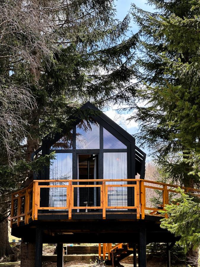 Kuća na drvetu - Zlatar Hill - Treehouse - B&B