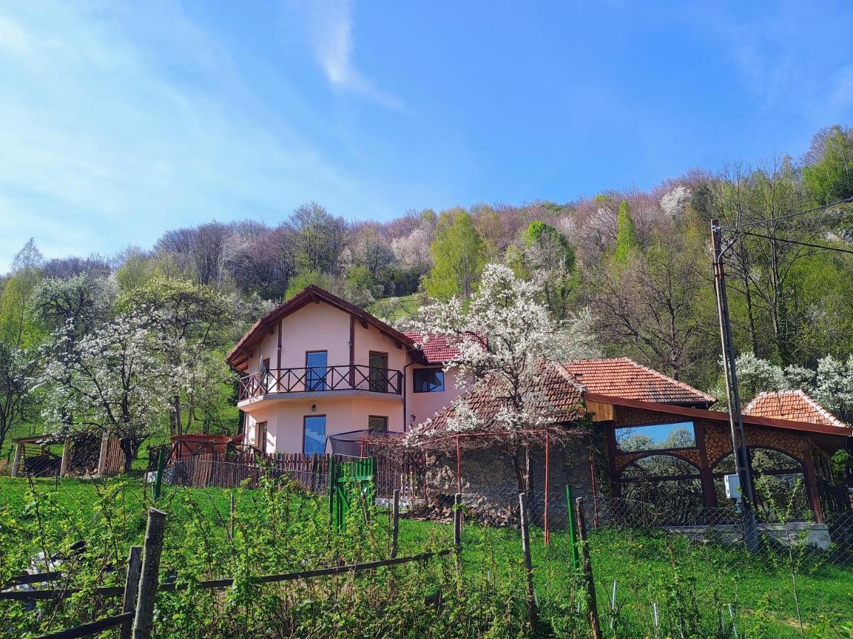 B&B Merișor - La cascada Sipot - Bed and Breakfast Merișor