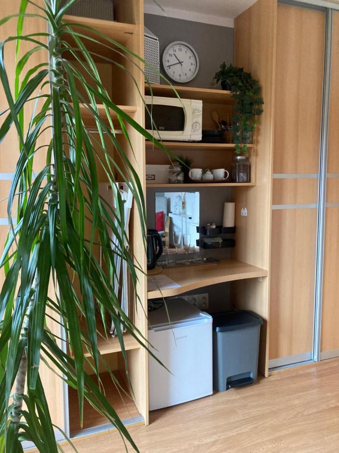 Podkrovní apartmán s balkónem - B&B