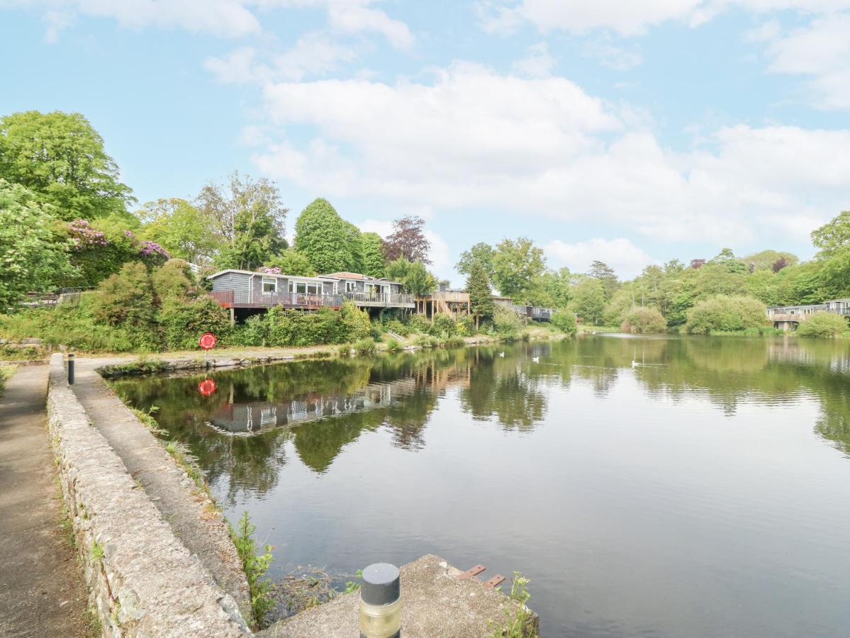 B&B Caernarfon - Mulberry Cabin On The Lake - Bed and Breakfast Caernarfon