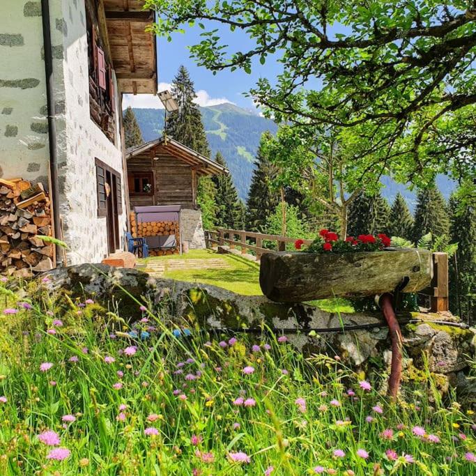 Baita - Chalet tra Pinzolo e Madonna di Campiglio - B&B