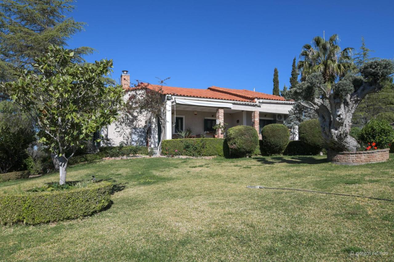 Nerotrivia Villa - Ocean Panorama and Lush Gardens - Bed and Breakfast Nerotriviá
