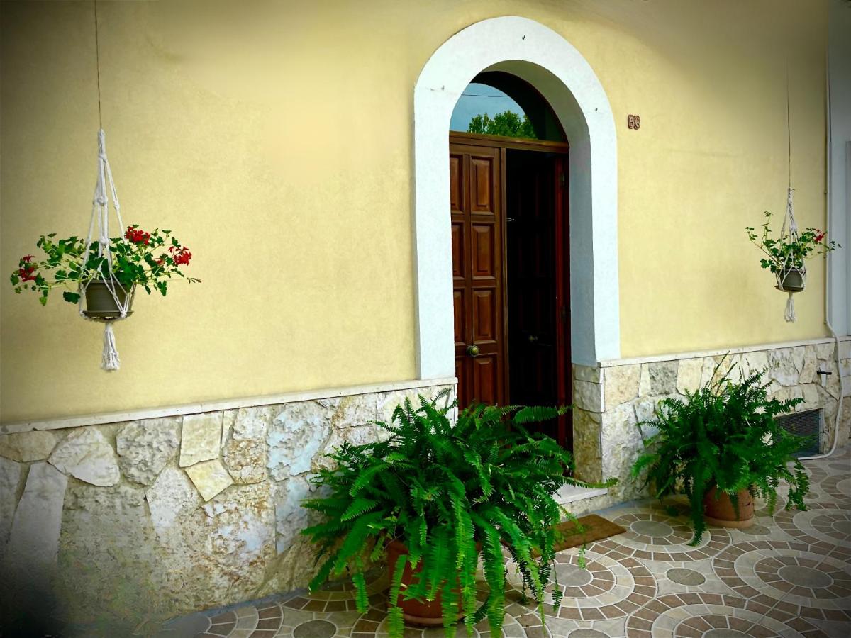 L’abete bianco - B&B Tarento