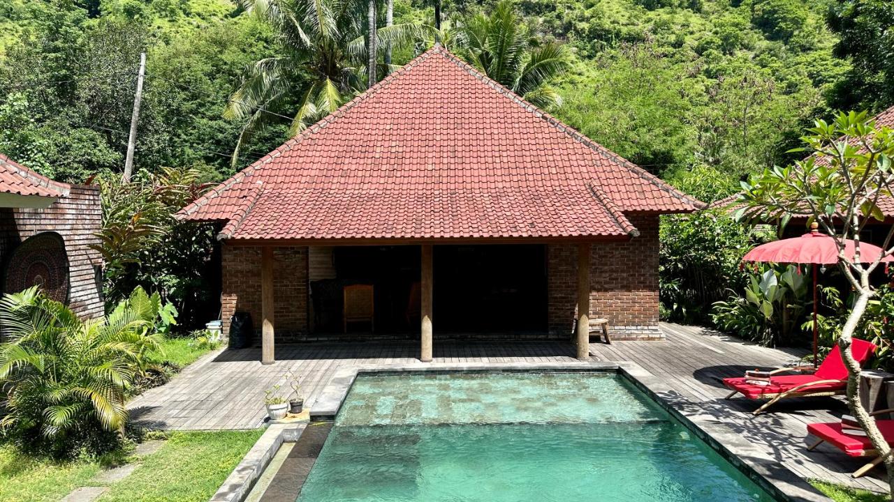 The Jungle House Amed - B&B