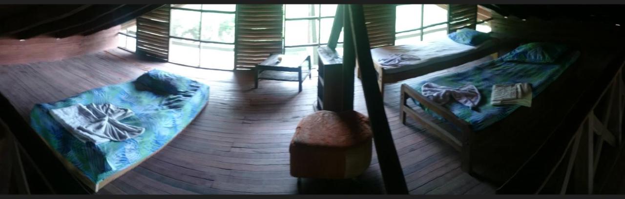 Bed in 6-Bed Dormitory Room