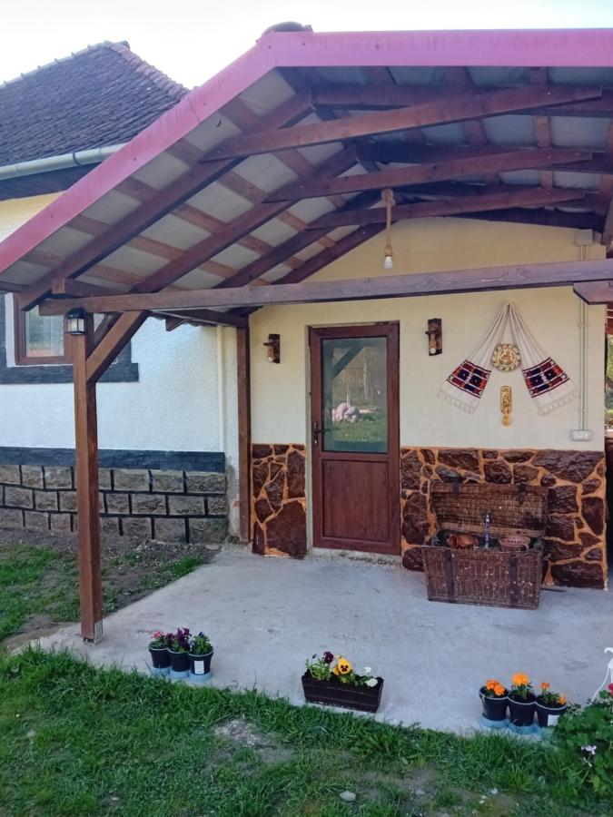 B&B Bucuresti - Casa Eva - Bed and Breakfast Bucuresti