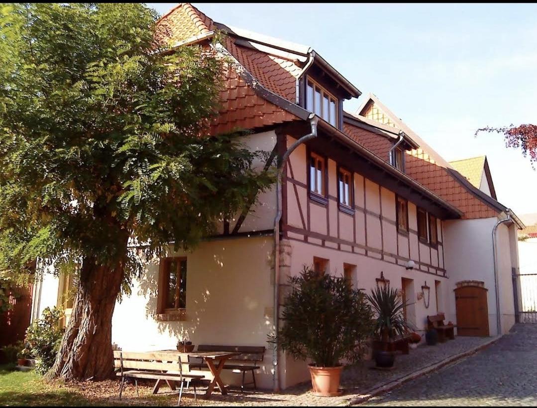 B&B Schadeleben - Pension Robinienhof - Bed and Breakfast Schadeleben