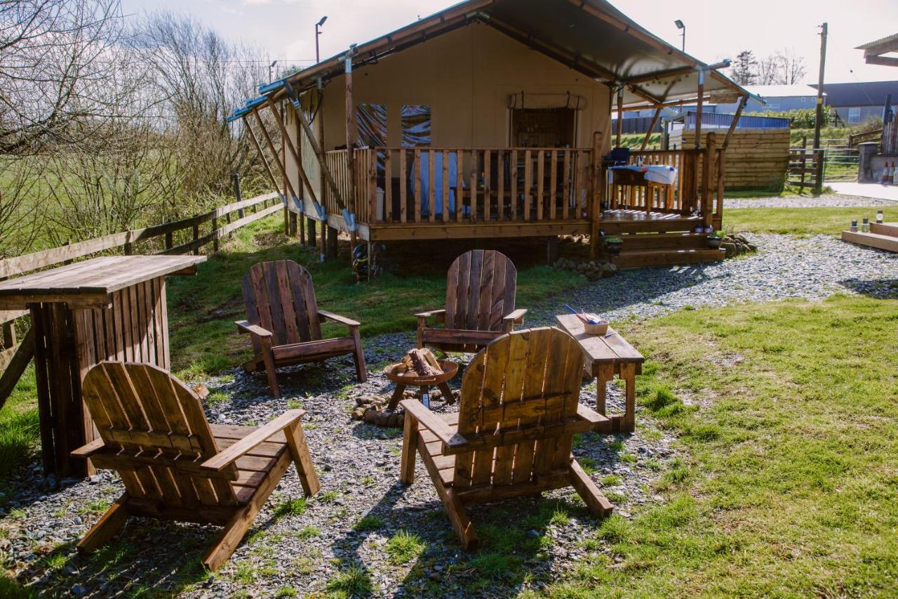 B&B Magherafelt - Rosgarron Safari Canvas Lodge Glorious Glamping - Bed and Breakfast Magherafelt