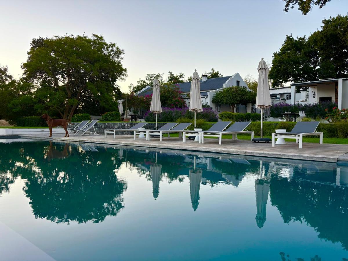 B&B Paarl - Tempel Wines - Bed and Breakfast Paarl