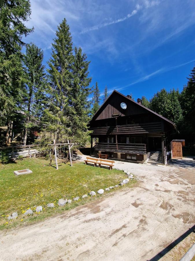 Forest Apartments Pokljuka - B&B Zgornje Gorje