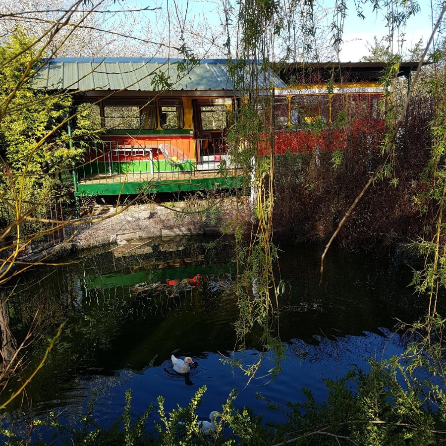 Les insolites du Grand Logis - B&B