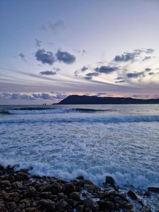 Rez-de-jardin sous pins et plage - B&B