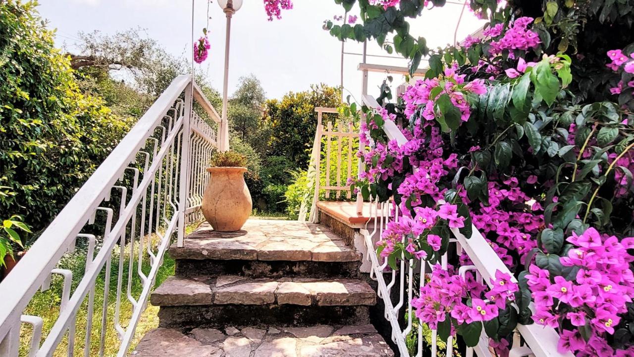 Appartamento la Bouganville - B&B