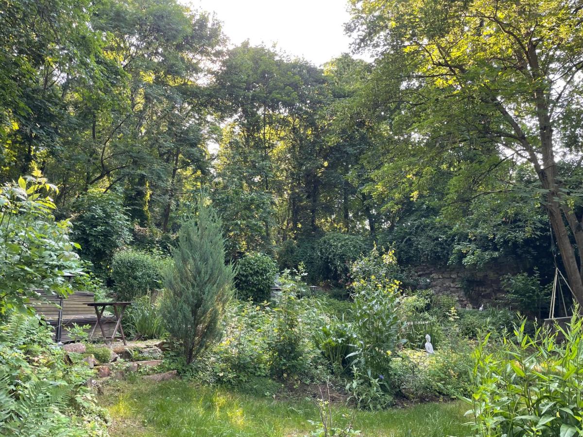2 kleine Altstadt-Ferienwohnungen mit Garten & Herz - Chambres d’hôtes