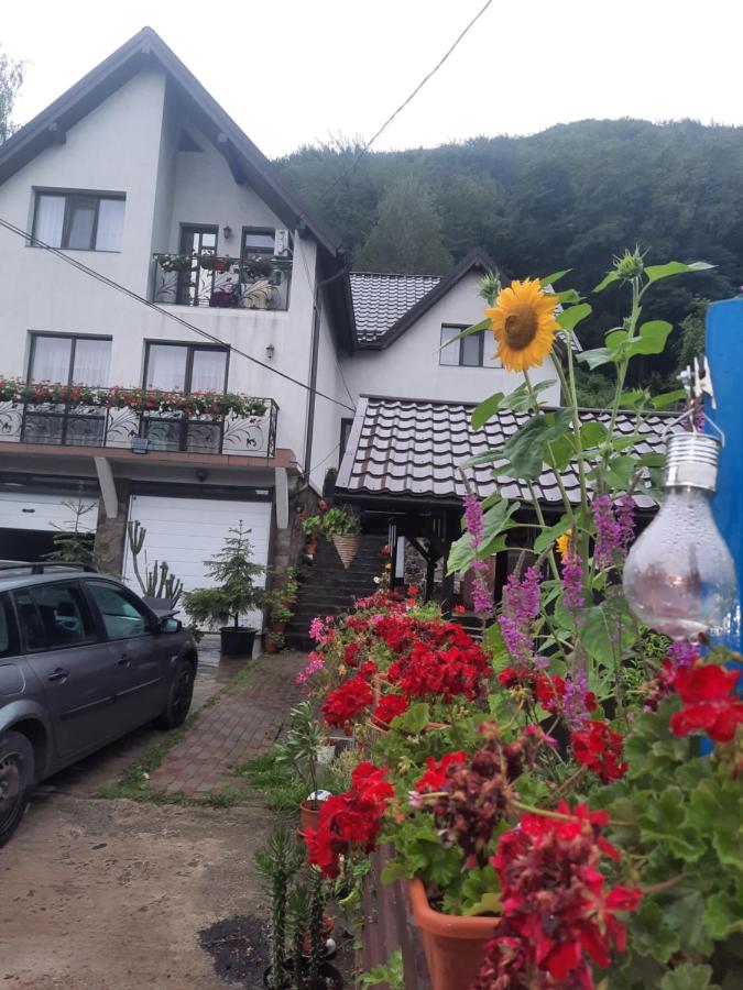 Pensiunea Magura Ocnei - Ferienwohnung