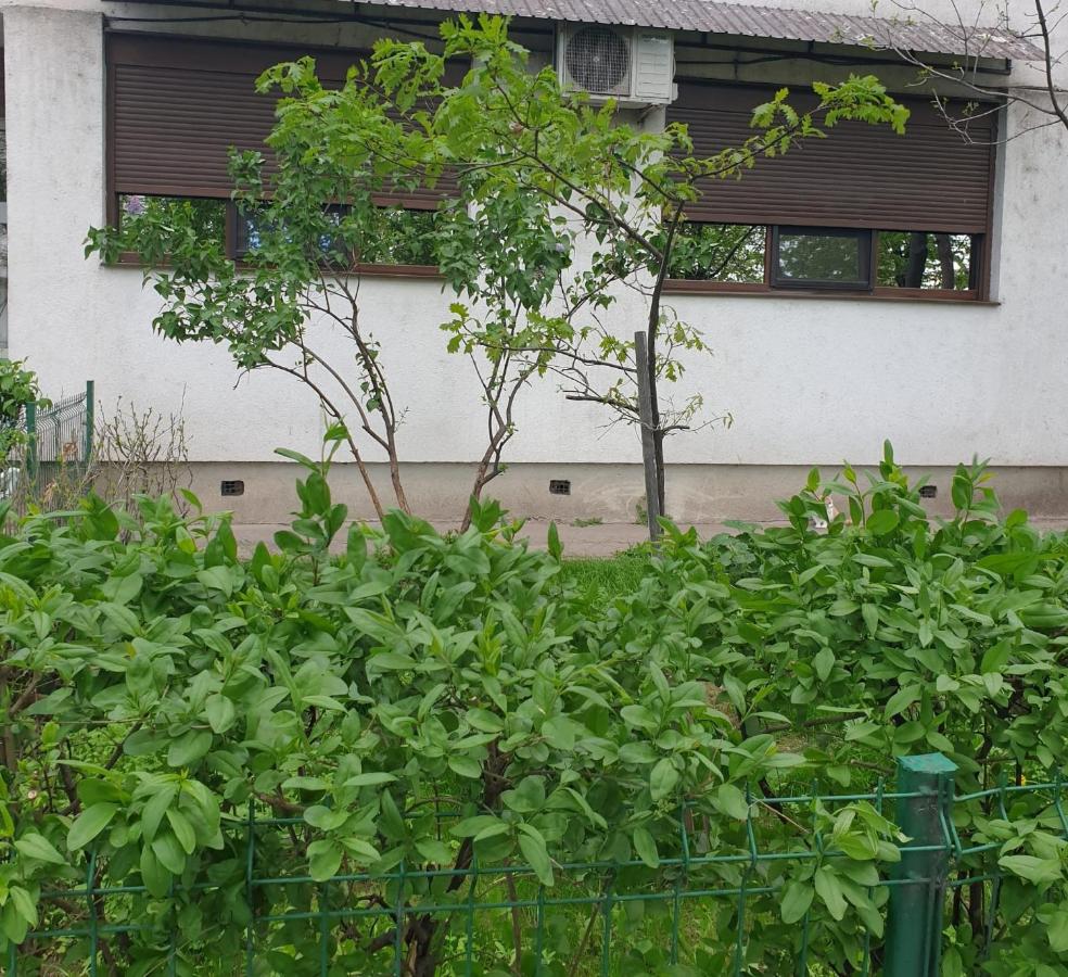 Helia Apartment - B&B Galați
