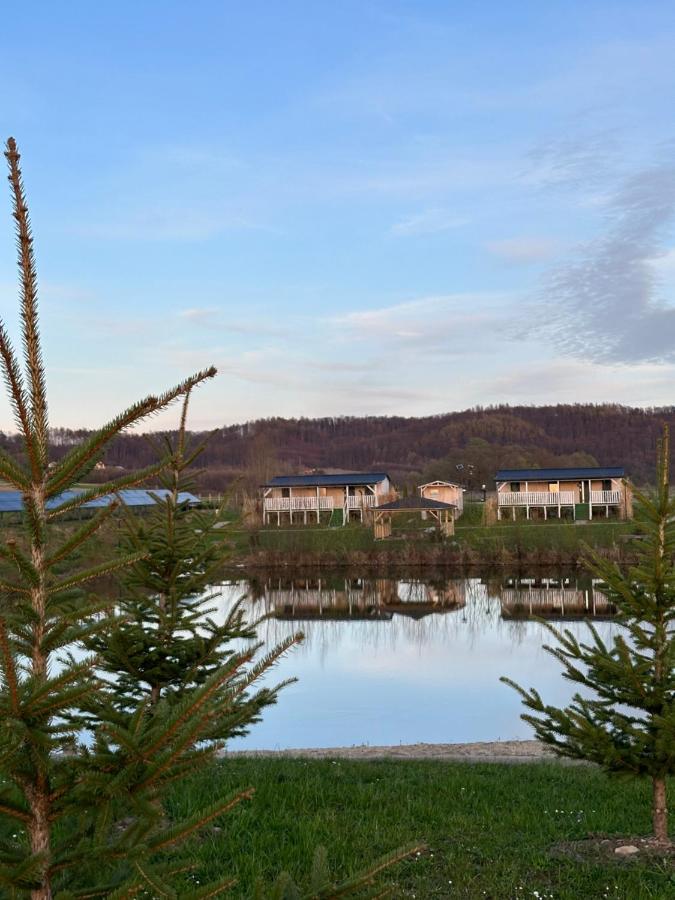 Domki Nad Sanem Bachórzec 6a