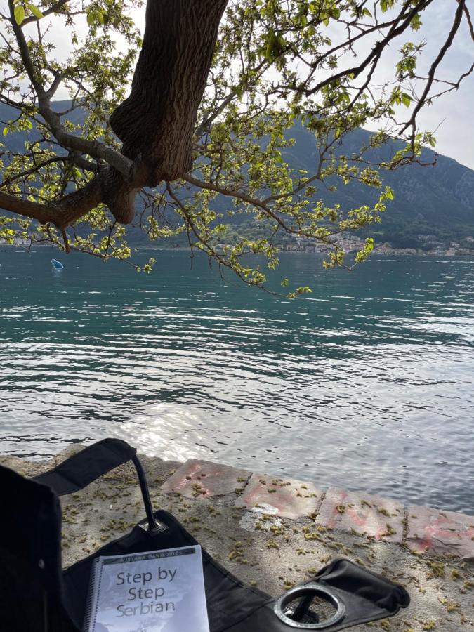 Modern Seaside Apartment with Balcony Tale Apartment - Chambres d’hôtes Kotor