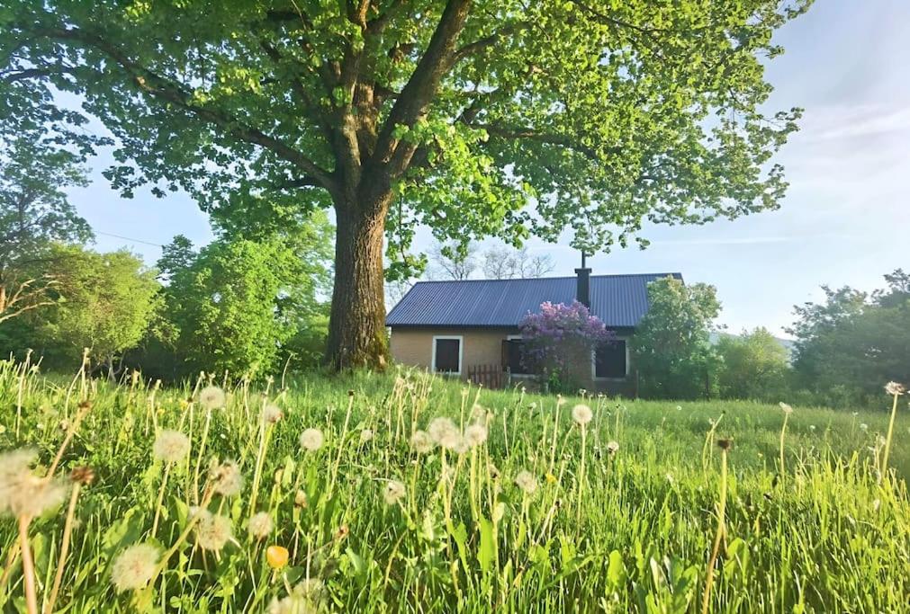 Kuca za odmor Lipa - B&B