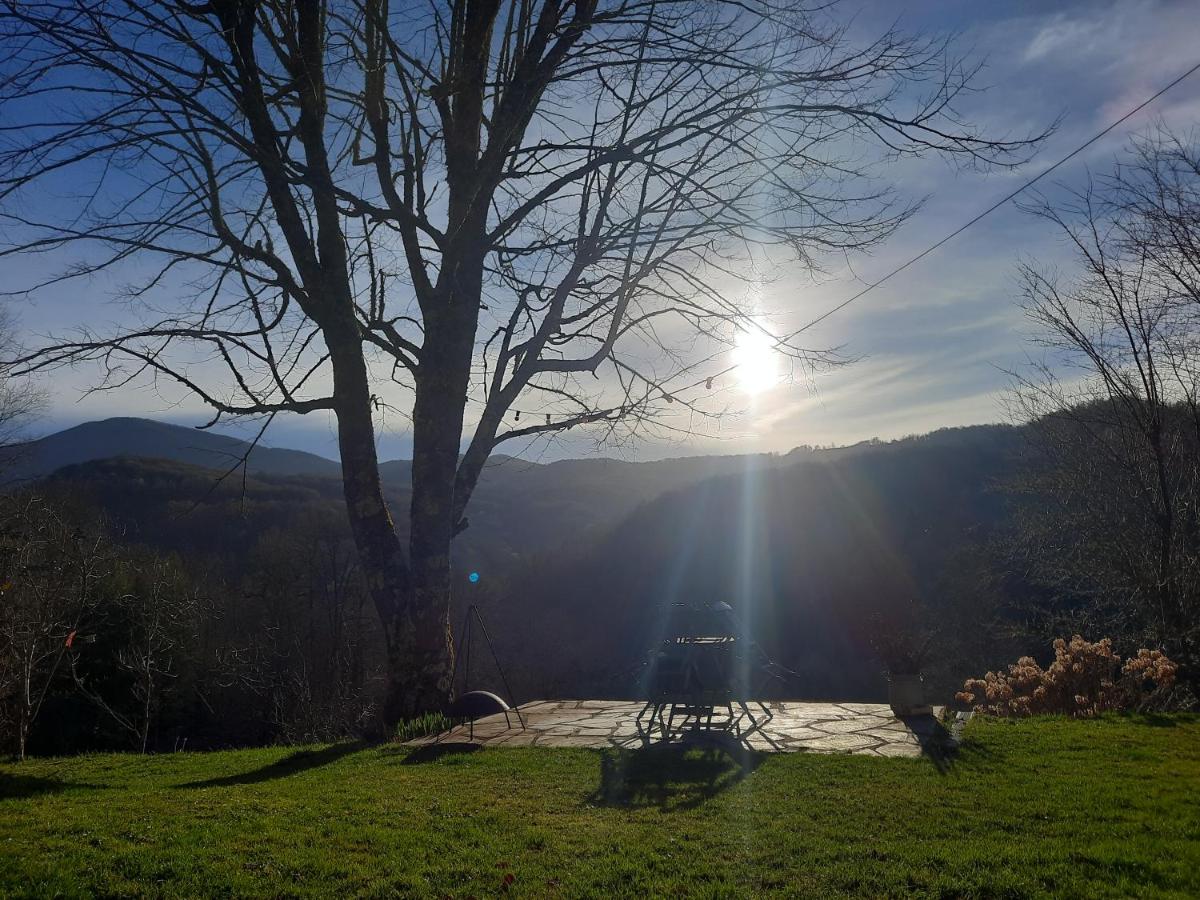 Biert La Coume - B&B