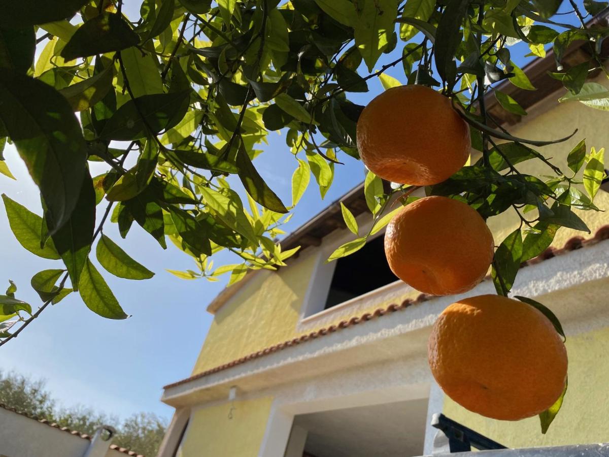 Villa Medusa - Bed and Breakfast