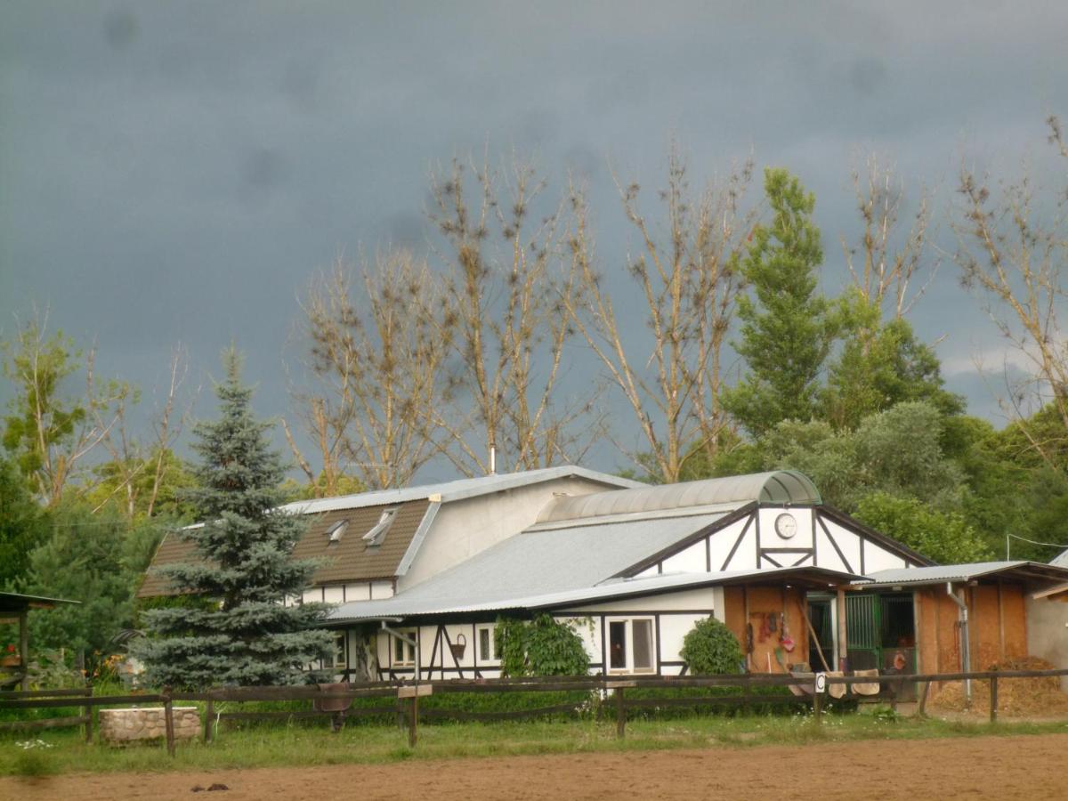 Pokoje gościnne Stajnia Dorado-Agroturystyka - B&B