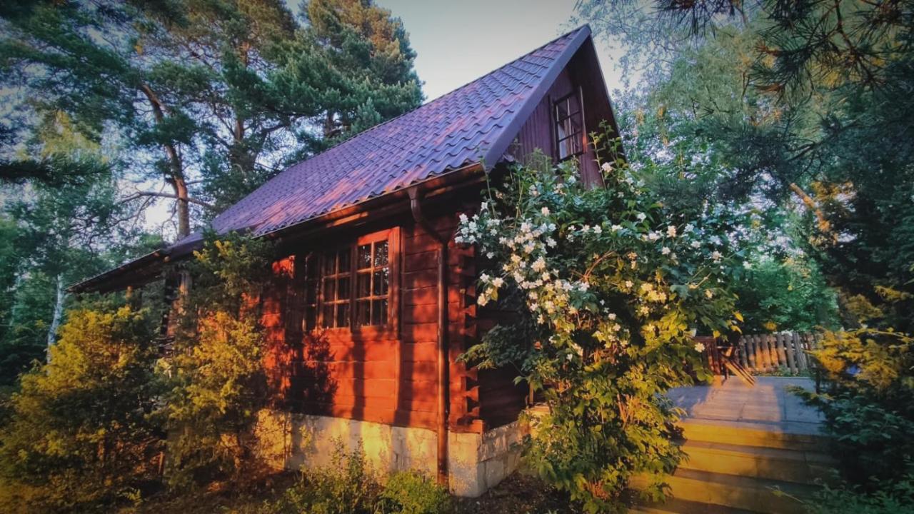 Przytulia - chata na bezdrożach Roztocza - B&B Górniki