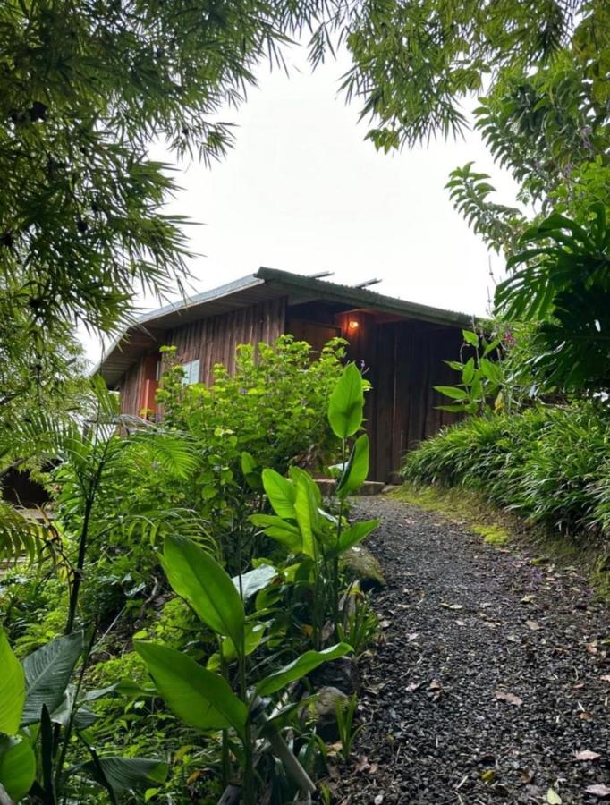 El Toucanet Lodge & Restaurante - B&B