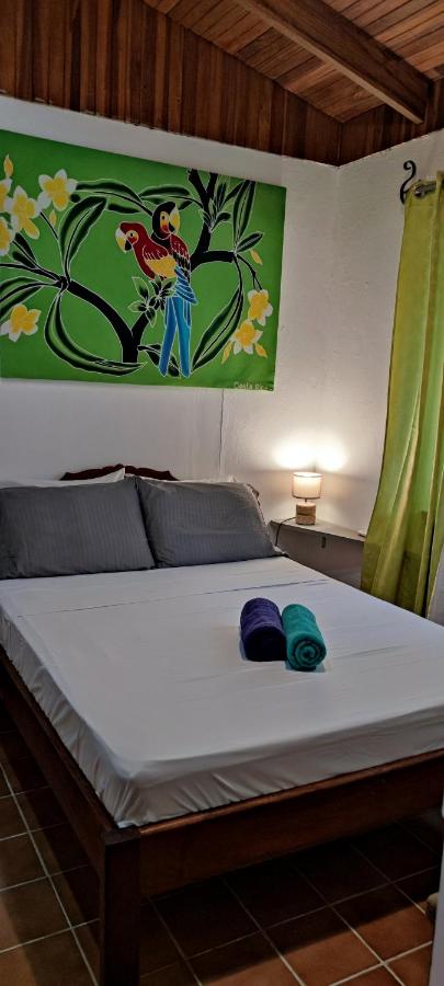 Alta Vibra Appartement - B&B