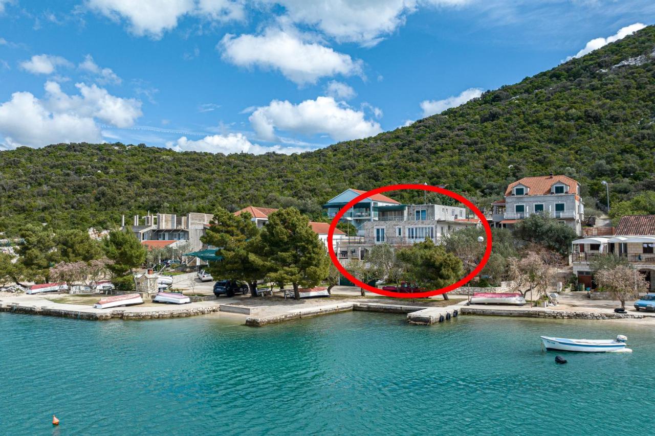 B&B Putniković - Apartments by the sea Luka Dubrava, Peljesac - 13632 - Bed and Breakfast Putniković