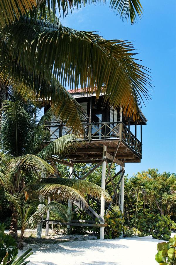 Estudio con vista al océano