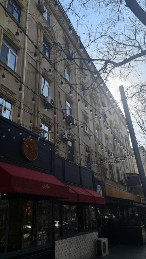 Grey Wolf Apartment - B&B Baku