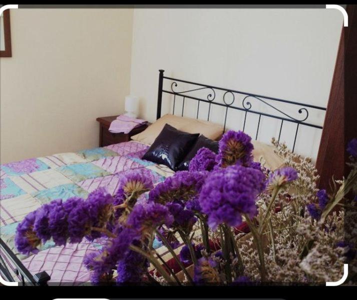 Villa in campagna - B&B