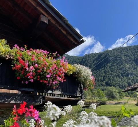 Studio mit Bergblick