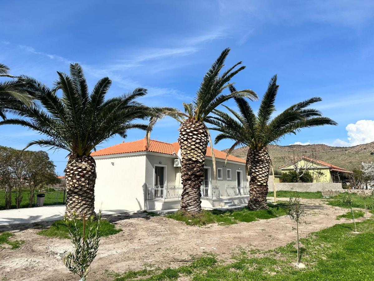 Ktimavita Apartment 2 - Bed and Breakfast