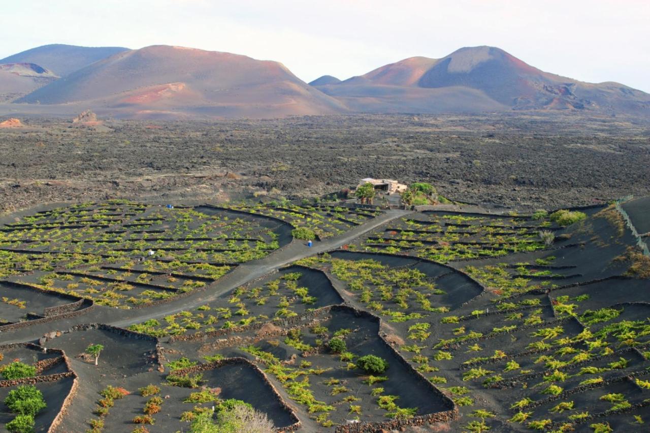 Casa Rural Vega de Timanfaya - B&B