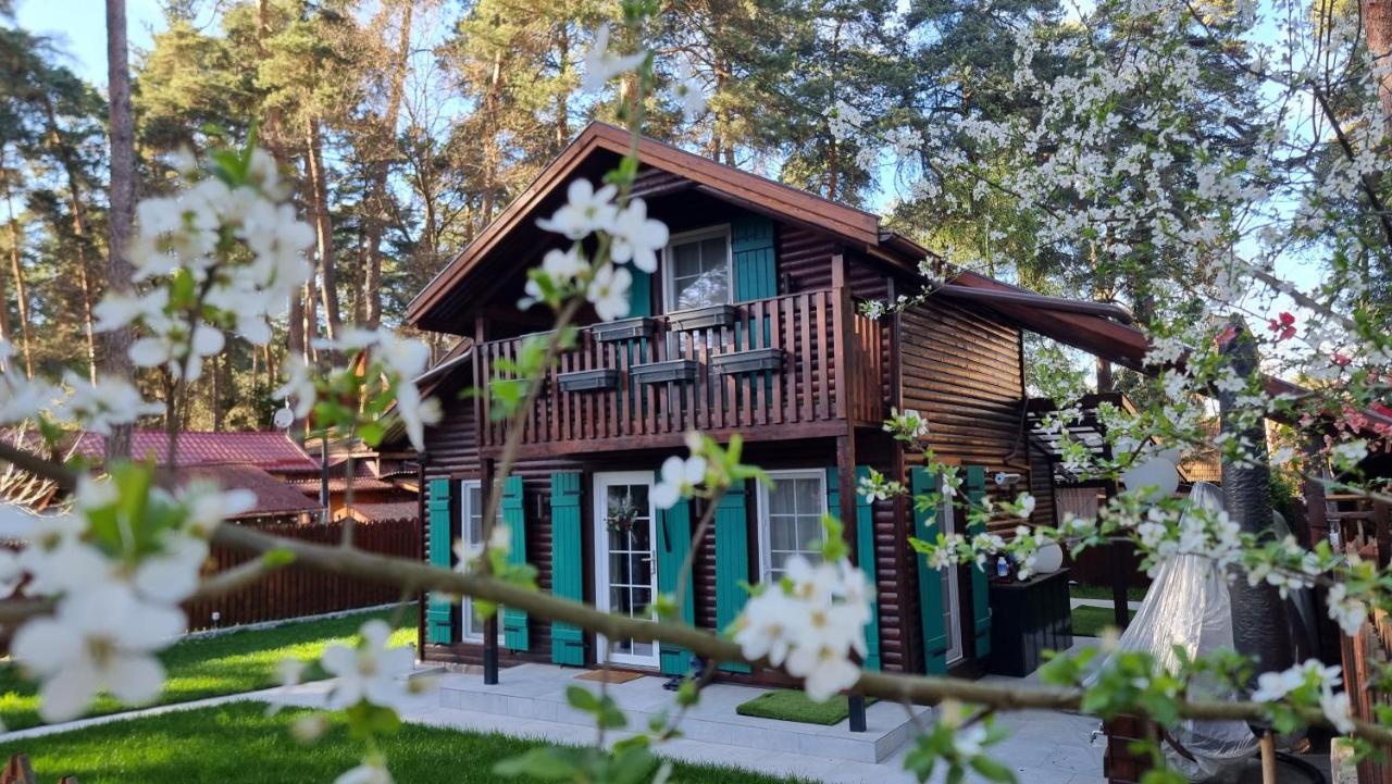 Căsuța din povești - B&B
