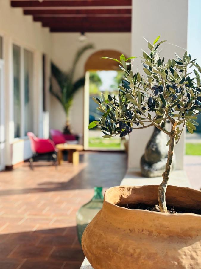 Elma Guesthouse - B&B