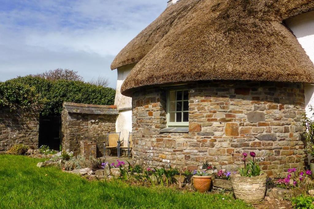 B&B Bideford - East Titchberry Cottage - An eco-retreat with thatched cottage charm in North Devon - Bed and Breakfast Bideford