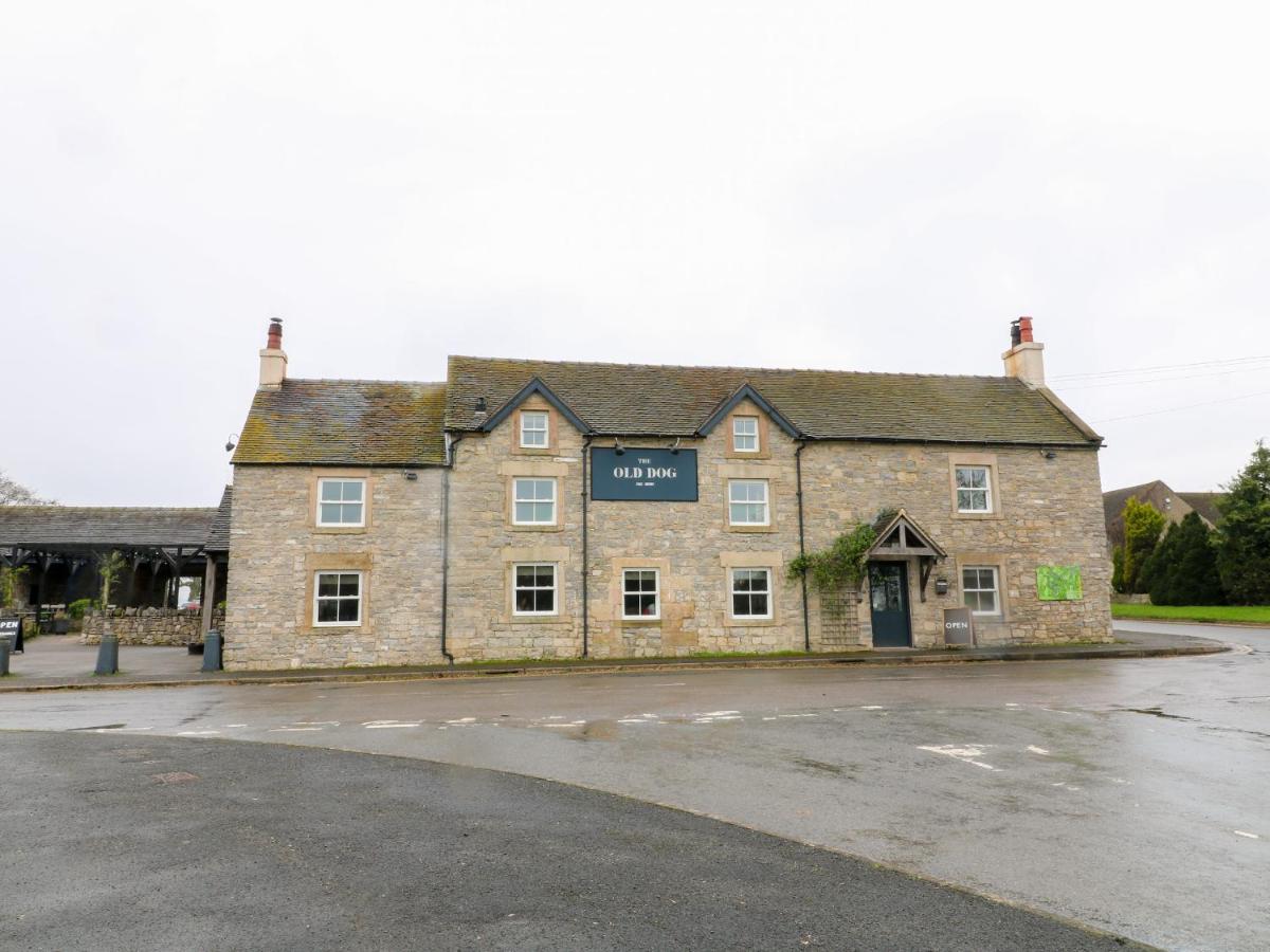 The Loft at The Old Dog Thorpe - B&B