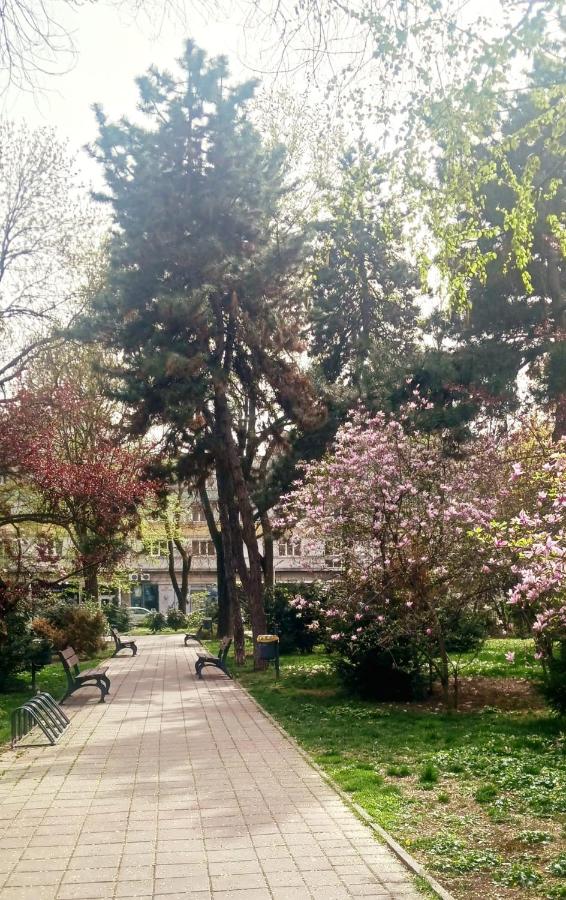 The House in The Park Bucharest - B&B
