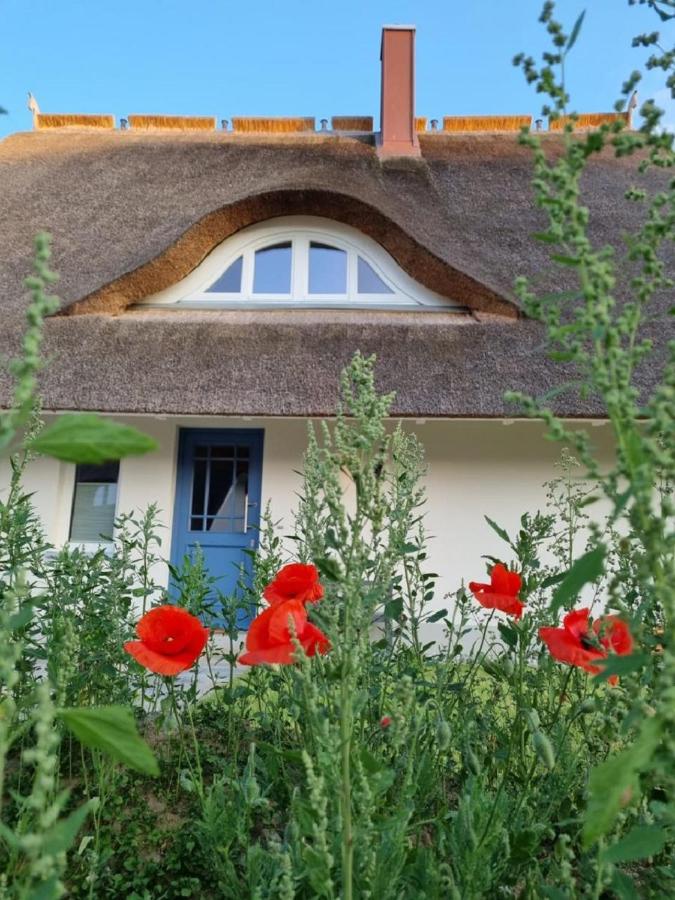 B&B Pepelow - Reetsnacker - Ferienhaus mit Kamin, Sauna und Whirpool für 8 Personen - Bed and Breakfast Pepelow