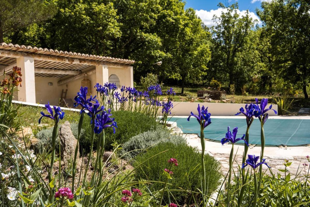 Les Lavandes - B&B