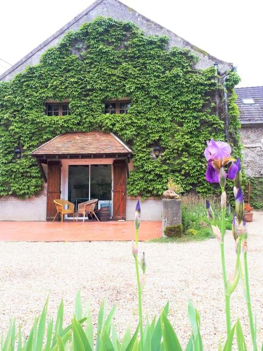 Nature, rivière et calme (A 25 min de Disneyland) - Ferienwohnung