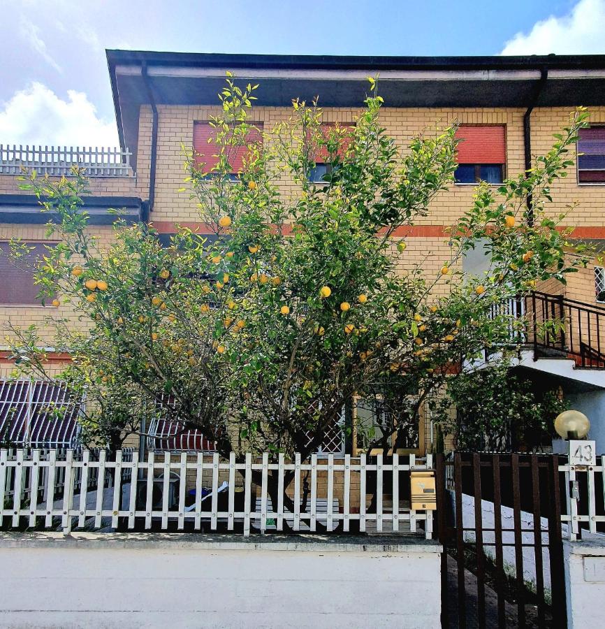 Lemon Tree House - B&B Ostia Antica