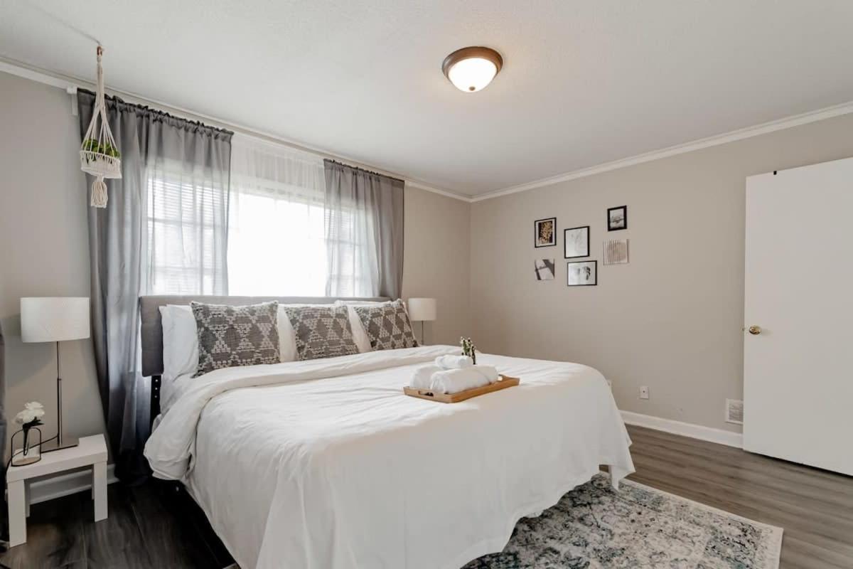 Comfy in Columbia - B&B