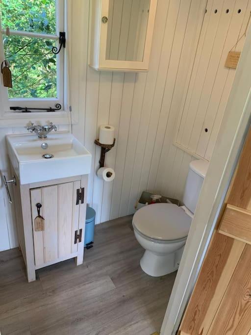 Cabin in the Woods - B&B Ardingly