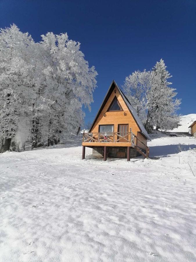 B&B Žabljak - Koliba Luča Smrčevo Brdo - Bed and Breakfast Žabljak