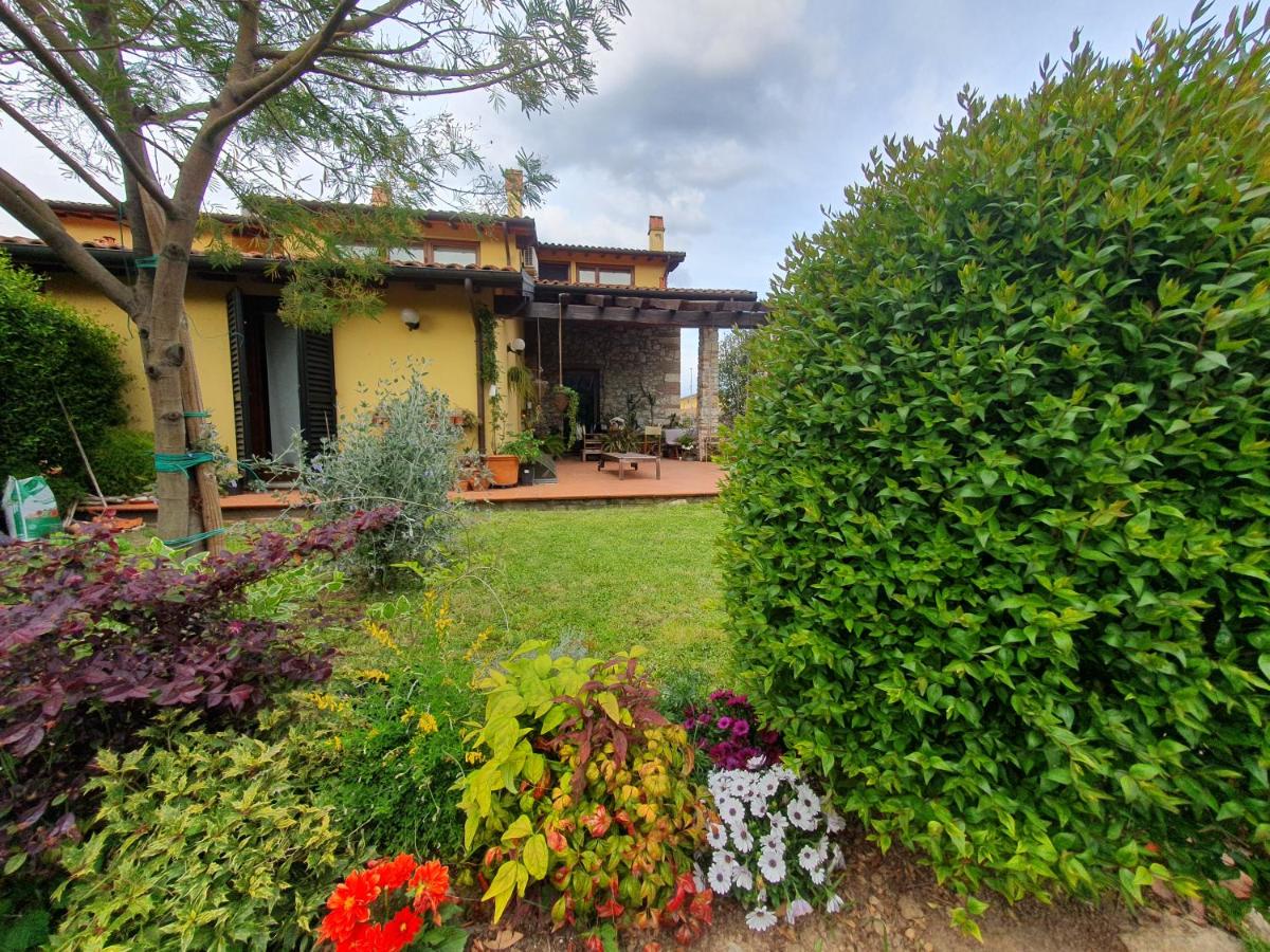 B&B Pieve a Nievole - Pietra E Glicine B&B - Bed and Breakfast Pieve a Nievole