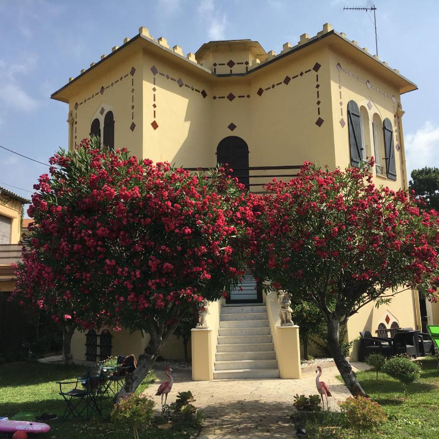 Les palmiers - B&B